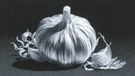 素描大蒜靜物圖