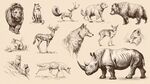 手繪野生動(dòng)物集合圖