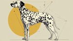 幾何風(fēng)格斑點(diǎn)狗插畫