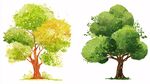 兩棵水彩風(fēng)格的茂盛樹(shù)木