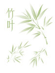 清新竹葉插畫(huà)