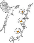 飛鳥戲花圖 矢量圖