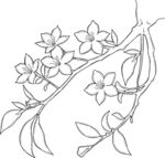 手繪花卉枝條圖案 矢量圖