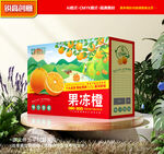 橙子包裝 冰糖橙禮盒