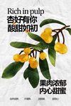 香甜多汁的新鮮杏子海報