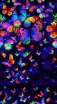 夢(mèng)幻多彩蝴蝶群