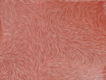 粉色紅色毛發(fā)紋理