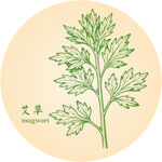 手繪清新艾草中藥材草本植物圖案