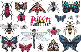 蝴蝶蚊虫矢量设计素材