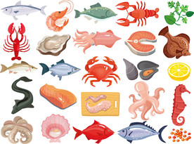 手绘海洋生物矢量设计素材