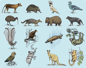 手绘素描动物墙贴设计素材