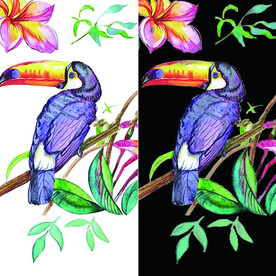 高清分层免扣植物花鸟图