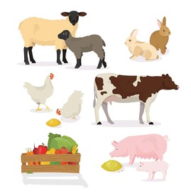 家禽动物矢量素材