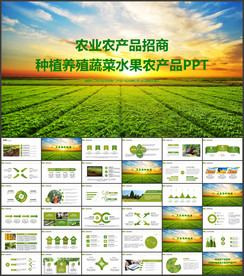 農(nóng)業(yè)農(nóng)產(chǎn)品招商宣傳PPT