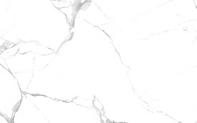 会所超清新鱼肚白 tif合层