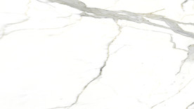 酒店新天然鱼肚白 tif合层