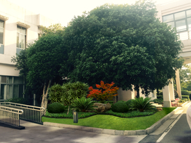 绿化改造景观设计效果图