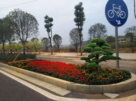 道路绿化设计效果图