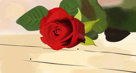 玫瑰花PPT背景图片