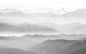 山水畫 水墨山水畫 意境山水畫