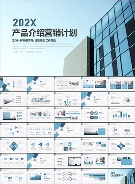 產品介紹 營銷計劃PPT