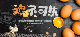 土鸡蛋 鸡不可失