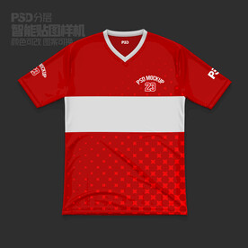 V領(lǐng)T恤樣機(jī)