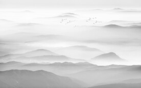 背景墙