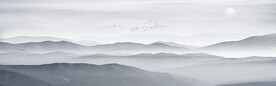 水墨画