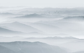 最新中式客廳山水畫