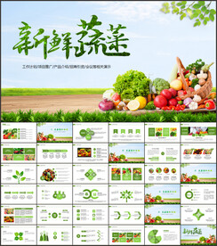 有機(jī)蔬菜水果生態(tài)農(nóng)業(yè)PPT