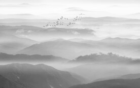 意境山水画