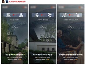 房地產(chǎn)別墅價值點刷屏微信稿海報