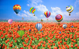 浪漫熱氣球郁金香花海電視背景墻