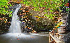 瀑布木橋風(fēng)景電視背景墻