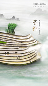 中國(guó)風(fēng)芒種節(jié)氣海報(bào)