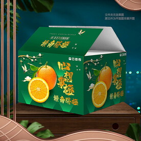 橙子包裝 紙箱