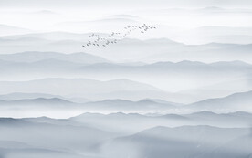 中式禪意水墨山水畫背景墻