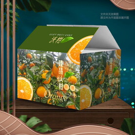 沃柑包裝 禮盒
