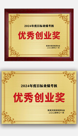 金色優(yōu)秀創(chuàng)業(yè)獎(jiǎng)榮譽(yù)獎(jiǎng)牌銅牌金牌
