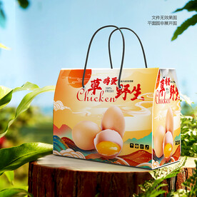雞蛋包裝 禮盒 