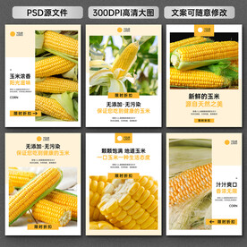 玉米