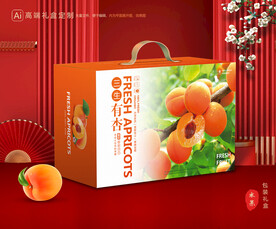 杏包裝 黃杏禮盒