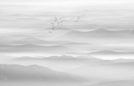 新中式山水画