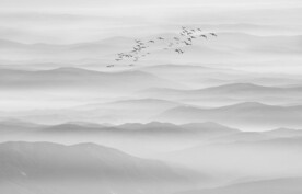 新中式山水画