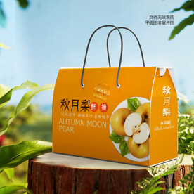 秋月梨禮盒 梨包裝
