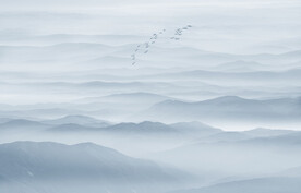 山水水墨画