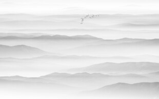 水墨風(fēng)景素材背景