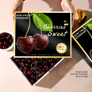 黑色車?yán)遄影b