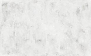 高清鱼肚会大理石